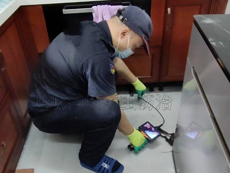 潮州潮安白蚁防治中心_潮安灭白蚁公司让您100%满意