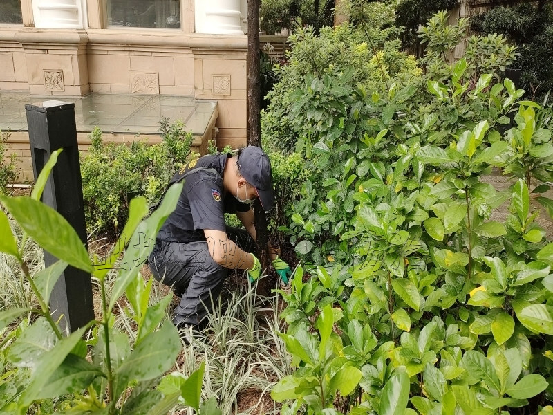 广州南沙区白蚁防治中心所灭除白蚁公司【权威白蚁防治机构】携高端白蚁检测设备上门检查灭治