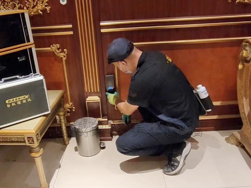 白云区统一白蚁防治中心电话-广州白云区专业除白蚁服务公司推荐