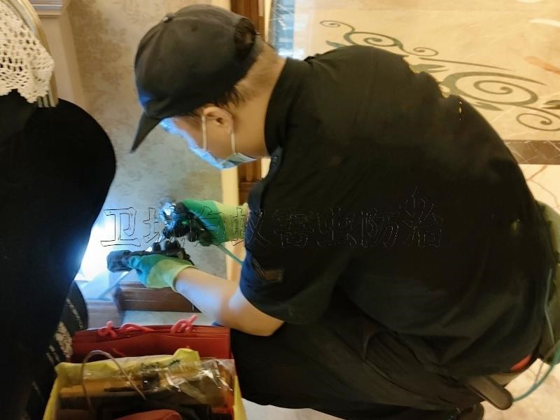 番禺区白蚁消杀中心电话-广州番禺区指定白蚁预防与治理公司推荐