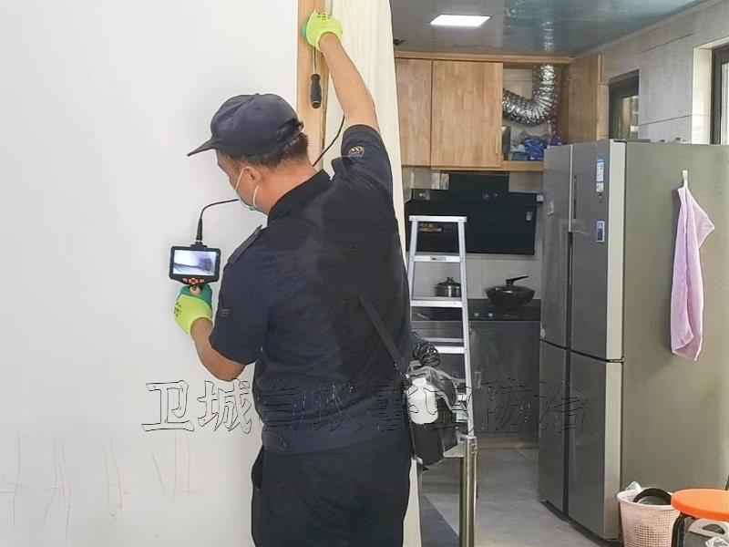 海珠区白蚁防治中心电话-广州海珠区上门除白蚁公司推荐