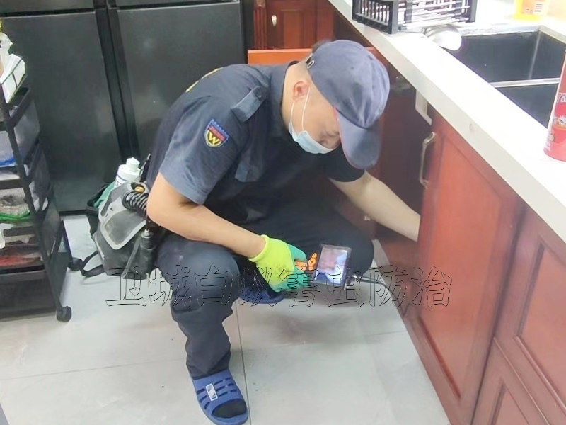惠阳指定白蚁治理防治预防中心-惠阳上门除白蚁电话多少