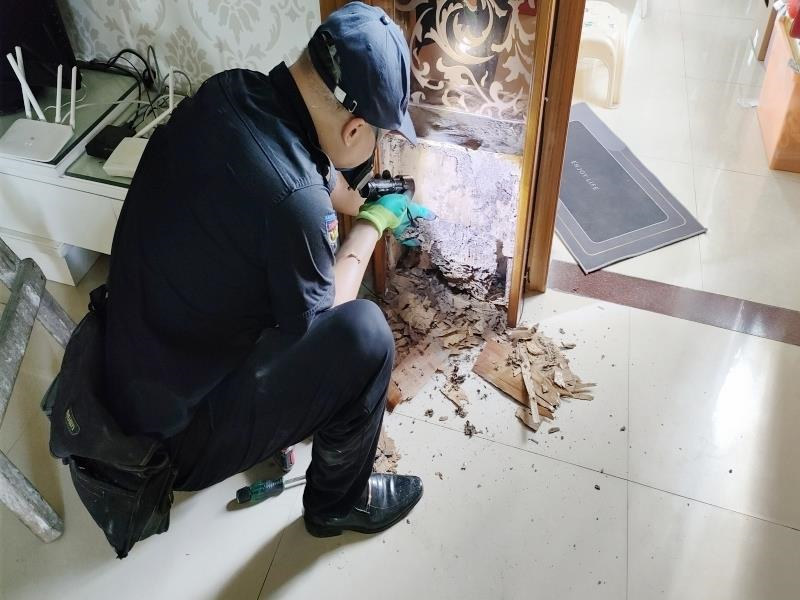 博罗专业白蚁防治所,博罗专业除白蚁防治机构电话