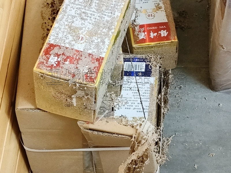 惠州灭白蚁,惠城白蚁防治