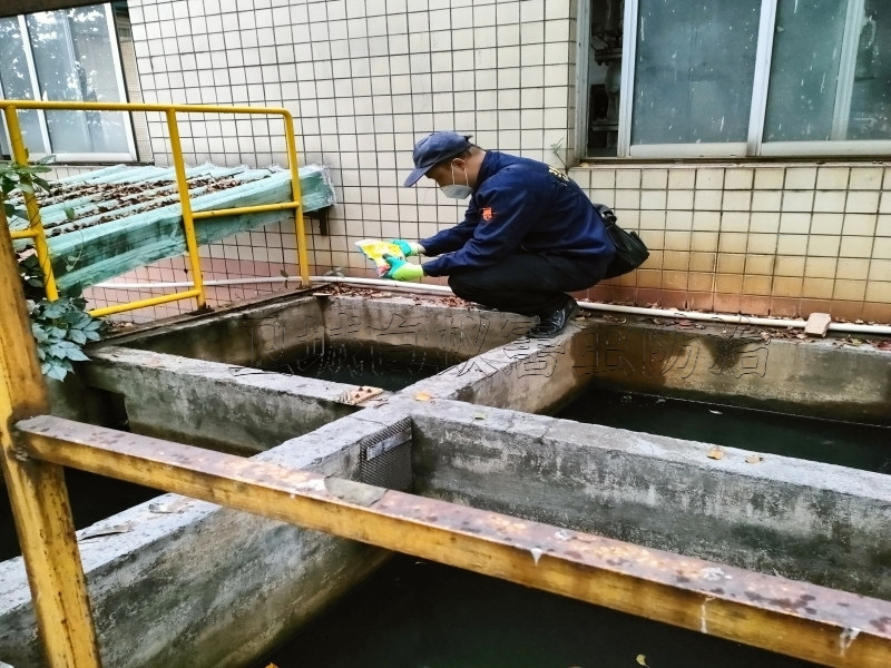 荔湾区白蚁防治,广州荔湾白蚁防治_推荐荔湾灭杀白蚁优质服务商